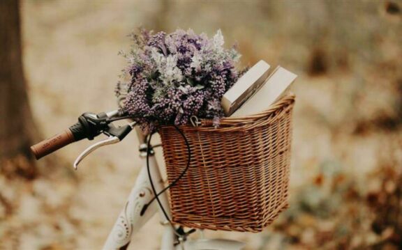 Bi knjigo na biciklu?